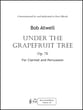 Under the Grapefruit Tree P.O.D. cover
